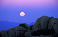 LS101 Full Moon, Mt Buffalo National Park, Victoria